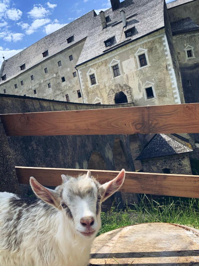 Burg Altpernstein Hotell Micheldorf in Oberösterreich Eksteriør bilde
